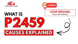 Meaning of OBD p2459
