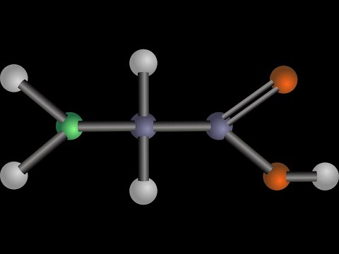 Moleküle des Lebens I: Aminosäuren, Proteine