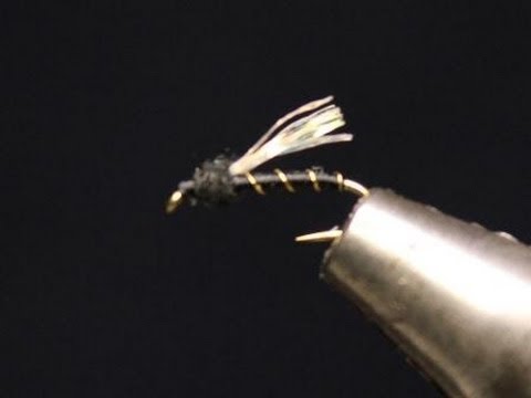 How to tie an Adult Midge Nymph