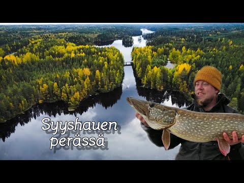 Hauenkalastusta syksyisessä järvessä