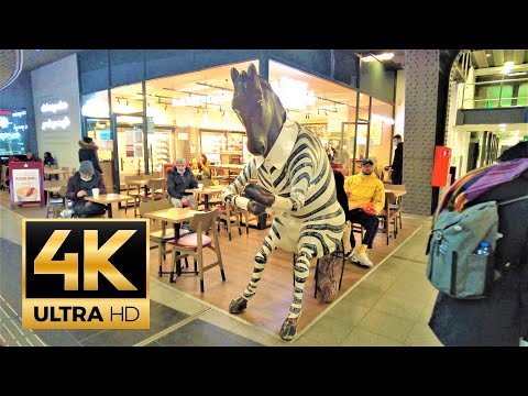 Gare du midi 🇧🇪 BRUXELAS, Bélgica 🇧🇪- Trem Thalys 4K 60fps e portões de trem Eurostar