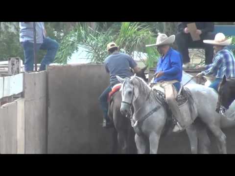 Resumen Coleadero El Sauz de los Marquez. Sabado 20 de Octubre 2012