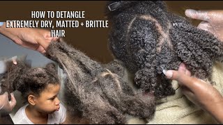 How To Detangle Dry, Matted + Brittle Hair