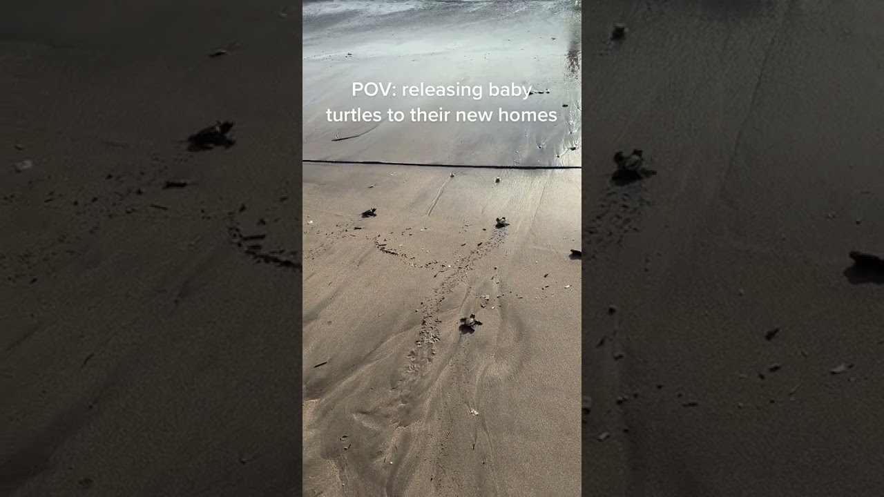 YouTube Short thumbnail