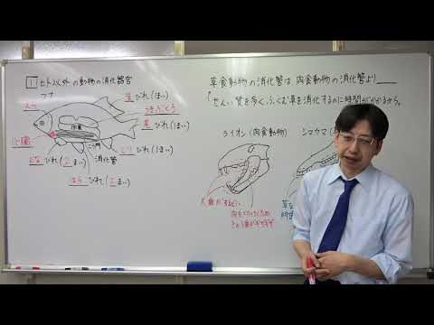 園芸 動物内動物、消化管を通る旅