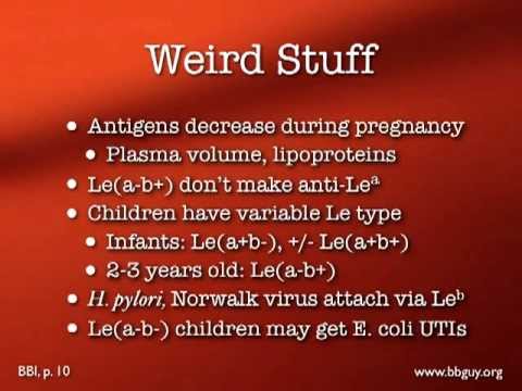 Blood Groups Overview