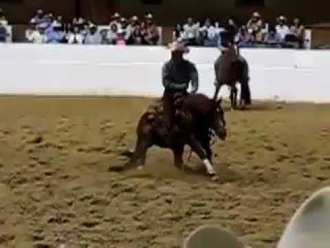 Apartação , Kit Kat Sugar .