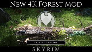 NEW 4K FOREST MOD - FOREST OF DIBELLA | Skyrim SE Ultra ENB Graphics | Nvidia GTX 1080