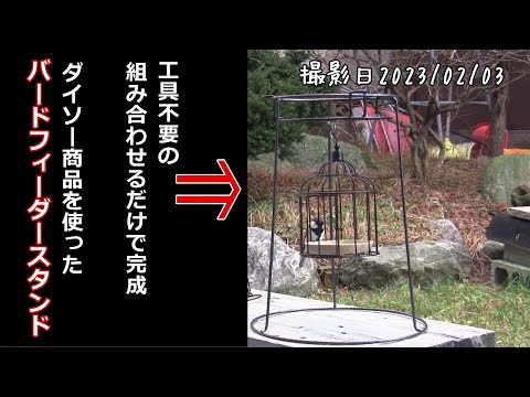 庭の知識: ヘビーフィーダー 庭の練習