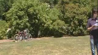 PolyVocal 3 Jackson Mac Low Kathey Acker Black Tarantula X-word