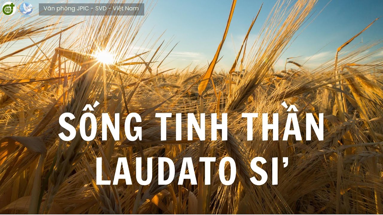 Sống tinh thần Laudato Sí (2) | Living the Spirit of Laudato Sí | Văn phòng JPIC - SVD - Việt Nam