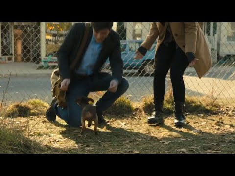 A Dog's Way Home (2019) - Bella meets Lucas for the first time