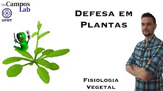 Defesa em plantas (2/3): Ácido Jasmônico e o Sistema Imune de Plantas