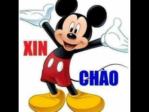 Tâm sự đời tôi