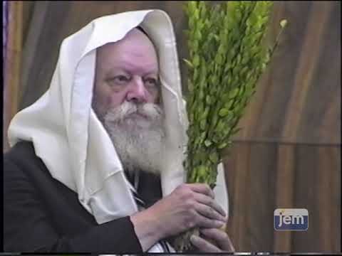 Highlights from 770: The Lubavitcher Rebbe Shakes Lulav and Esrog during Hallel on Sukkos