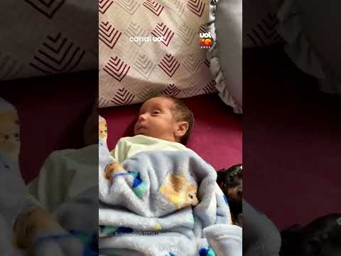 Cachorrinha tira pausa do papel de “cão de guarda” ao descansar ao lado de bebê