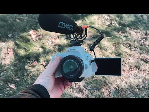 Why I'm Using a Canon SL2 in 2025