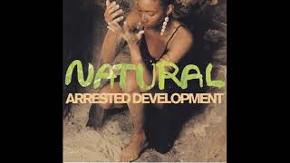 Arrested Development - Fishin&#39; 4 Religion (Remix)