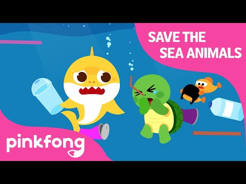 海の動物を救おう｜サメ週間 with ベビーシャーク｜ベビーシャーク公式 (Save the Sea Animals | Shark Week with Baby Shark | Baby Shark Official)