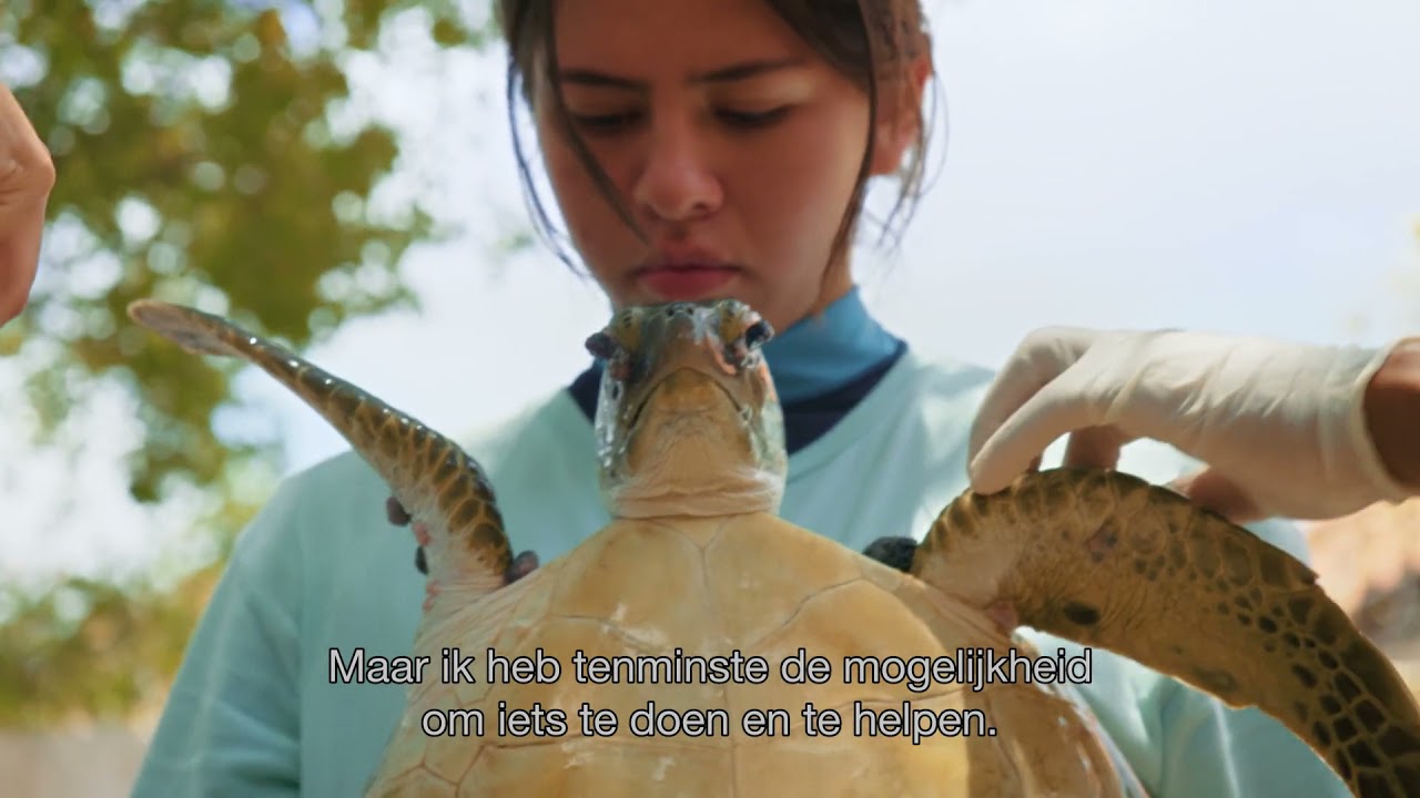 Placeholder from YouTube