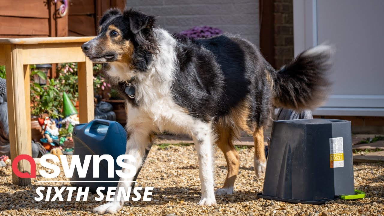 YouTube video preview