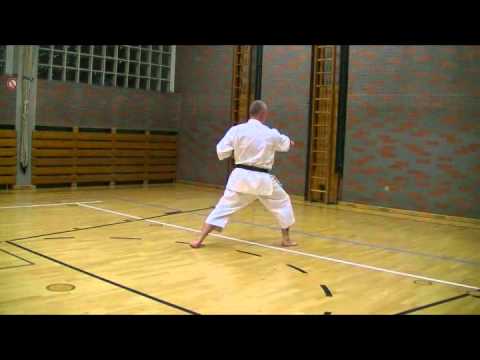 Kata Lexikon - Taikyoku Shodan - stark