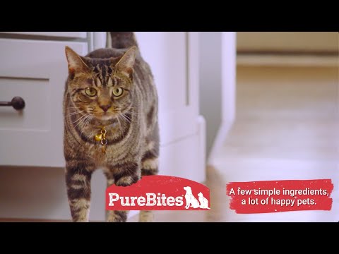 PureBites Turkey Breast Freeze-Dried Cat Treat (0.49 oz) Video