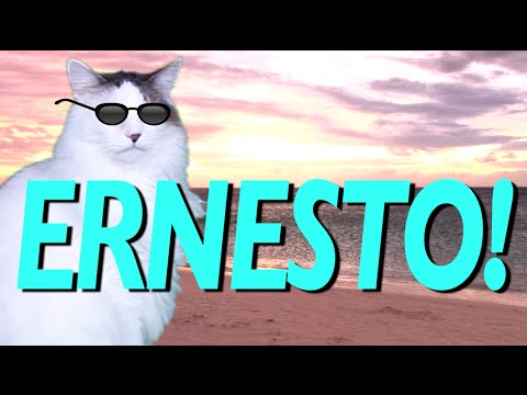 HAPPY BIRTHDAY ERNESTO! - EPIC CAT Happy Birthday Song