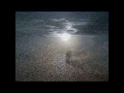 Tum Jo Mil Gaye Ho (Instrumental)