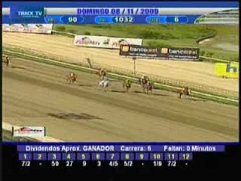 Resumen 8 de Noviembre  2009 - La Rinconada