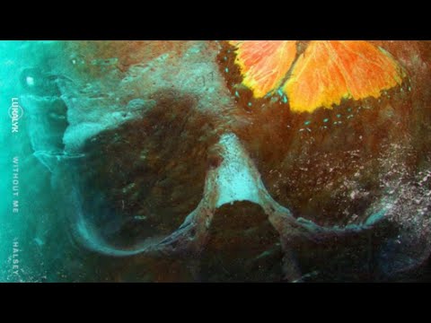 Halsey - Without Me (Lukalyk Remix)