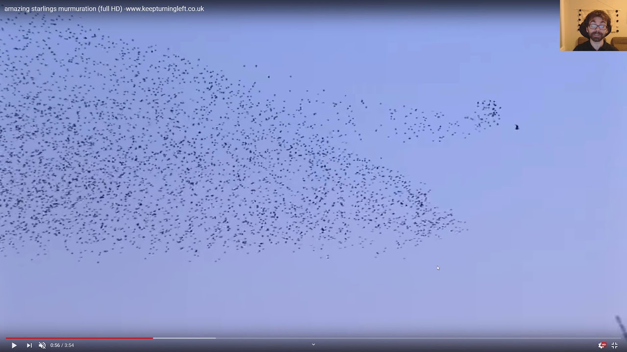 Multidimensional Data, Video 9   Summary and Applications