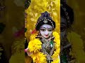 Radha Rani Hamen Bhi Bata De Jara Status Video Shorts