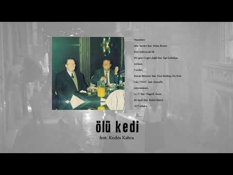 Sorgu & Farazi - ölü kedi  (feat. Kodes Kahra) (Official Audio)