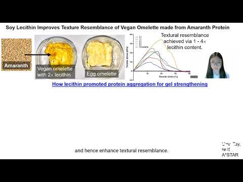GYSS (Global Young Scientists Summit) 2024 Pitch on Vegan Omelette