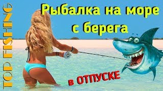 Ссылка