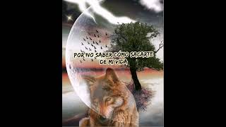 Bronco - Perdóname (letra)