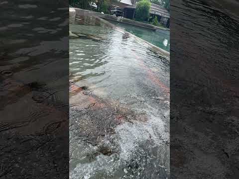 Bio Piscina #funes #santafe #argentina #biopiscinas #ecosistemas #naturaleza #2026 #2025