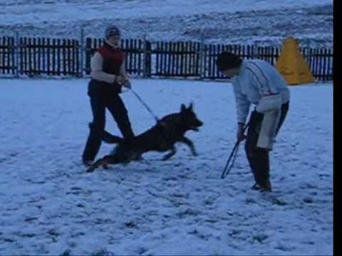 Barí z Jukasu - defence