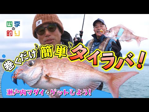 巻くだけ簡単タイラバゲーム　瀬戸内マダイをゲットしよう！（四季の釣り/2022年12月30日放送）