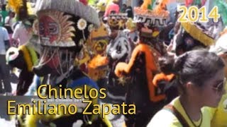 preview picture of video 'CHINELOS CARNAVAL EMILIANO ZAPATA MORELOS - BRINCO DEL CHINELO VERSIÓN EXTENDIDA 2014'