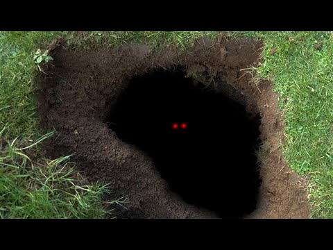 SCP-1437 | A Hole To Another Place