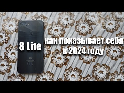 как показывает себя Xiaomi Mi 8 Lite в 2024 году?