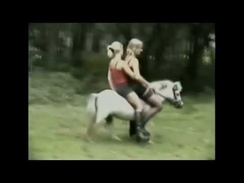 Small pony riding by double girl