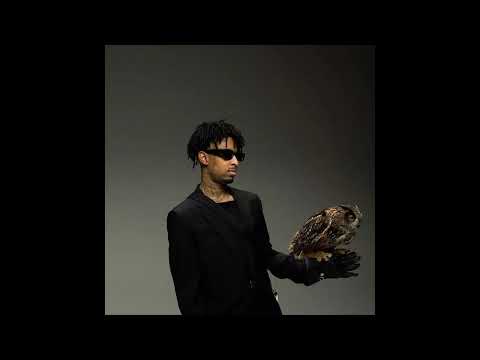 [FREE] 21 Savage x Offset Type Beat "BLACK SMOKING"