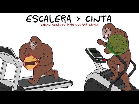 Por qué la ESCALERA quema más grasa - Explicado por Simio
