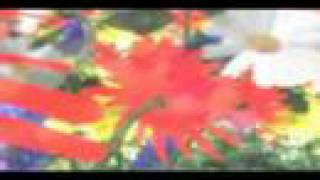 I Am In Love With You - Darrel Evans - Lyrics