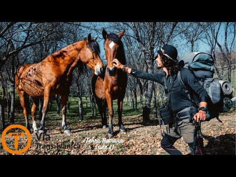 Cătunele izolate din Caraș-Severin [Ep.48 pe Via Transilvanica: Crușovăț - Priscăcina]