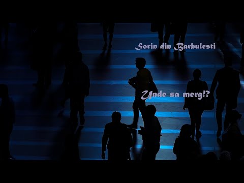 Sorin & Elvis din Barbulesti - Si unde sa merg!?