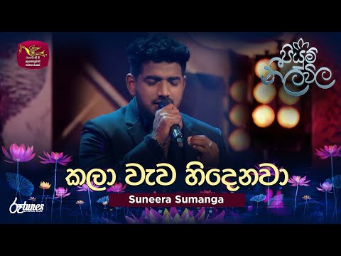 Kalawewa Hindenawa (Cover Song) | කලා වැව හිදෙනවා | Suneera Sumanga | Piyum Neela Vila | Roo Tunes